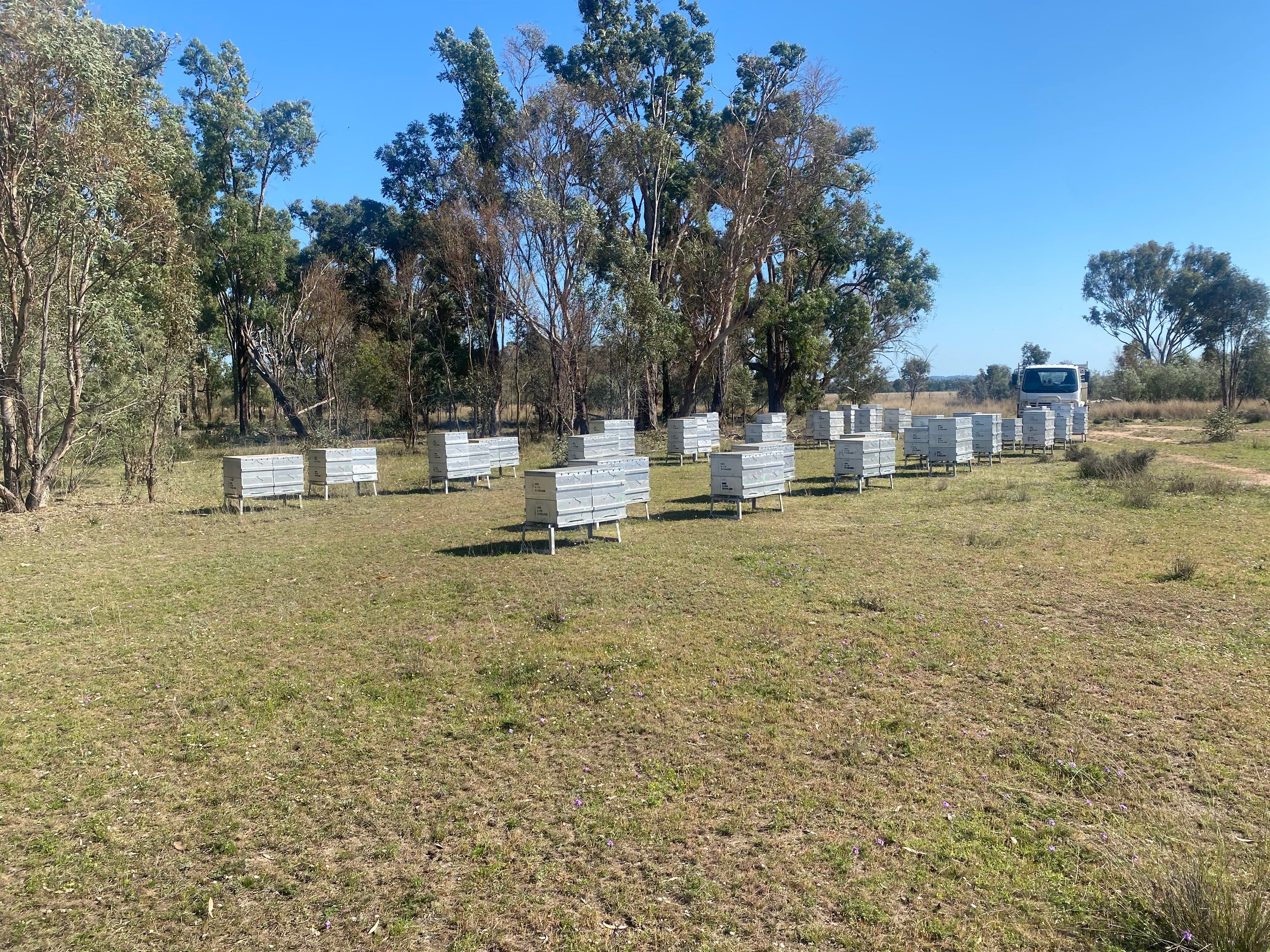Empowering Your Hive Journey